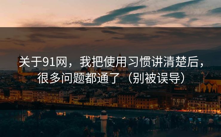 关于91网，我把使用习惯讲清楚后，很多问题都通了（别被误导）